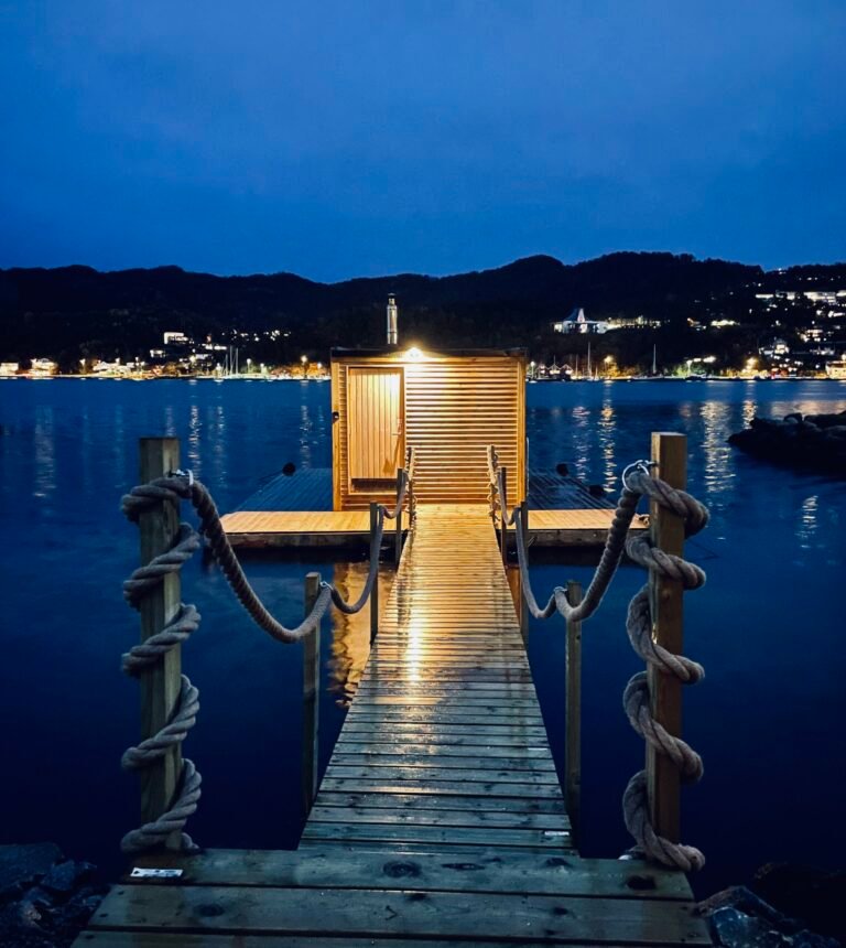 Bookdauna saga 768x860