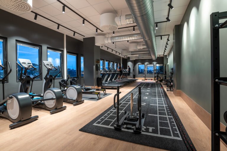 EVOParadis 2 1 768x513