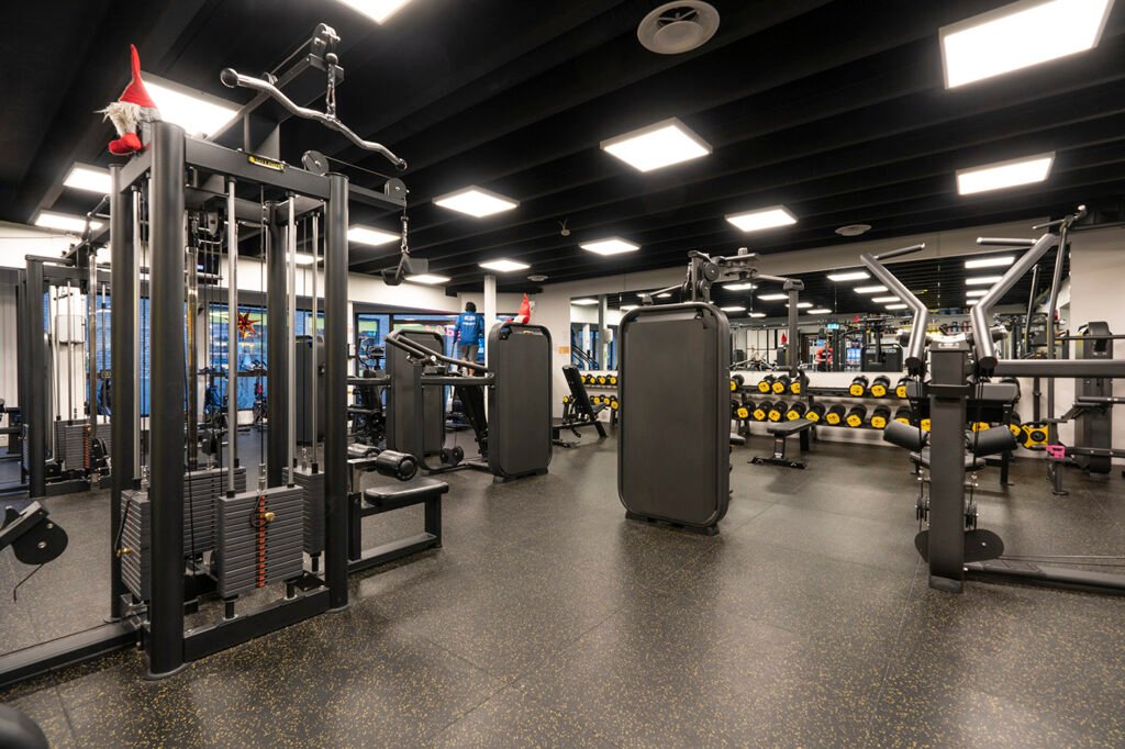 No Limits Sport Fitness Hundvag 1024x682