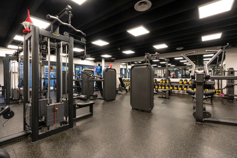 No Limits Sport Fitness Hundvag 768x512