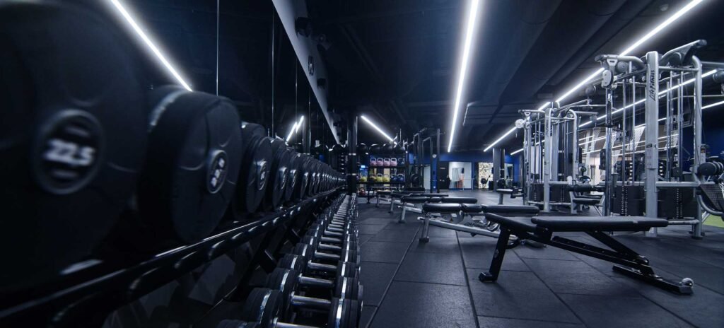 SATS Herbarium 4 1024x464